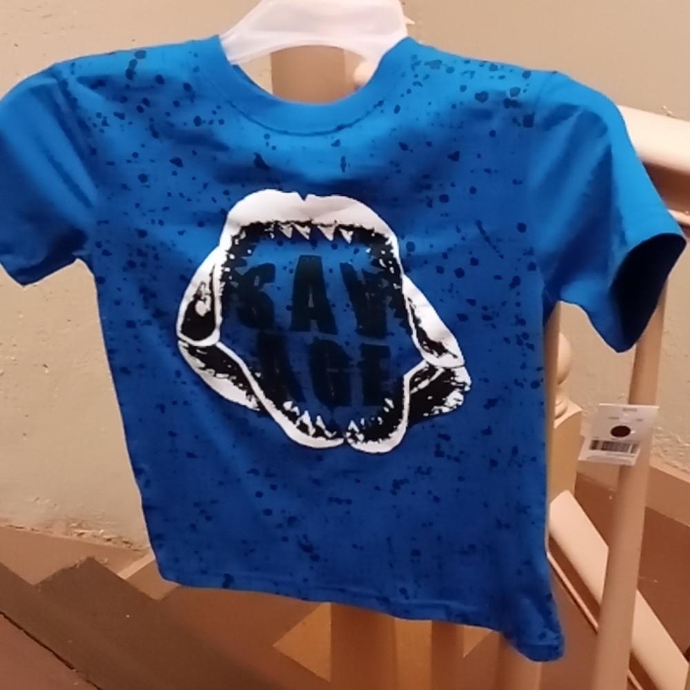Boys Dino tee